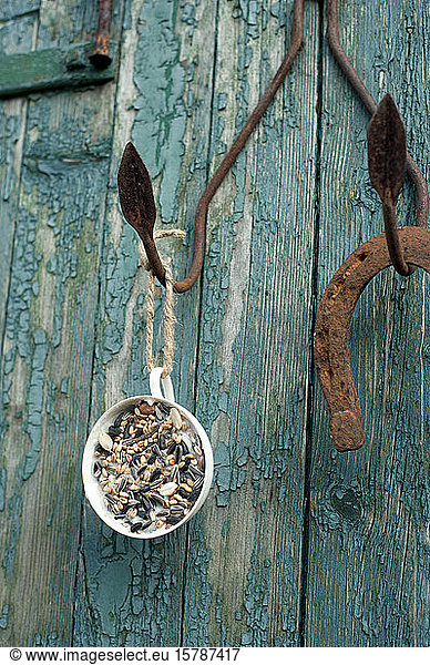 Horseshoe and mug with bird seed hanging from rusty hooks