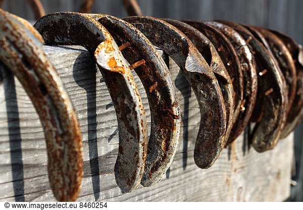Horseshoes hang from a wood fence. Varzi  Italy.