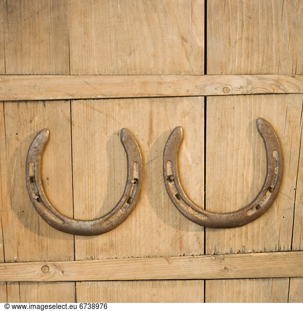 Horseshoes hanging on wall