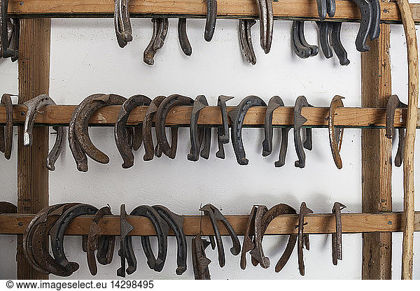 Horseshoes hung on the wall in the stables of the State Forestry Corp center of Selection Equestrian  Salet  Belluno Dolomites National Park  Monti del Sole  Veneto  Italy