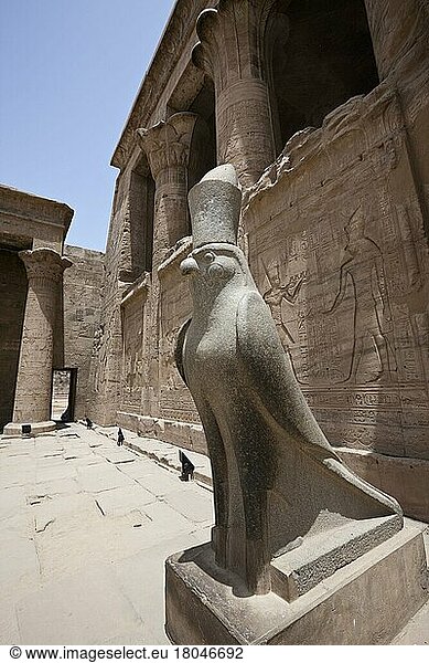 Horus statue  Edfu  Idfu  Horus temple  Horus falcon  Egypt  Africa