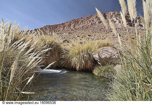 Hot Springs Puritana Terme Atacama Desert San Pedro de Atacama II Antofagasta Region Chile