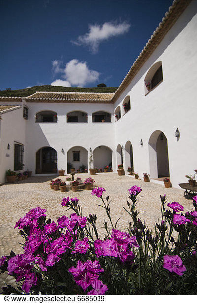 Hotel  Innenhof  Hof