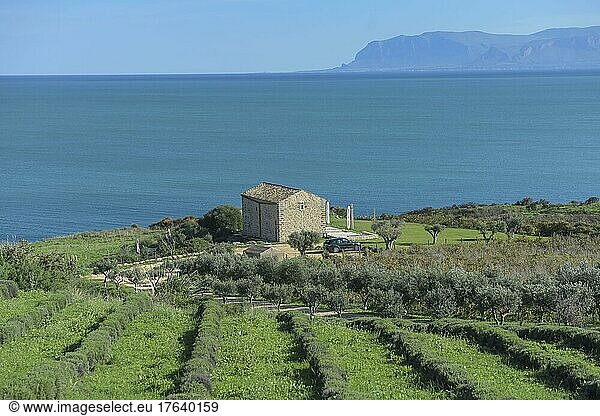 House by the sea near Scopello  Sicily  Italy  Europe