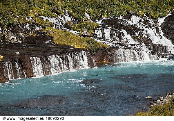 Hraunfossar Waterfalls and Hvita River  Lava Waterfalls  Iceland  Europe