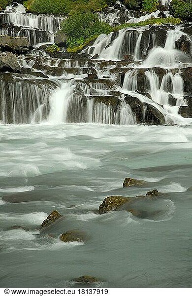 Hraunfossar waterfalls  lava waterfalls  river Hvita  Iceland  Europe