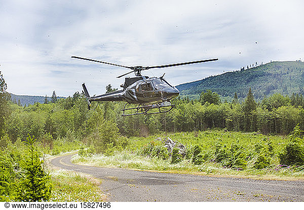 Hubschrauber landet auf einer Schotterstraße im Wald.