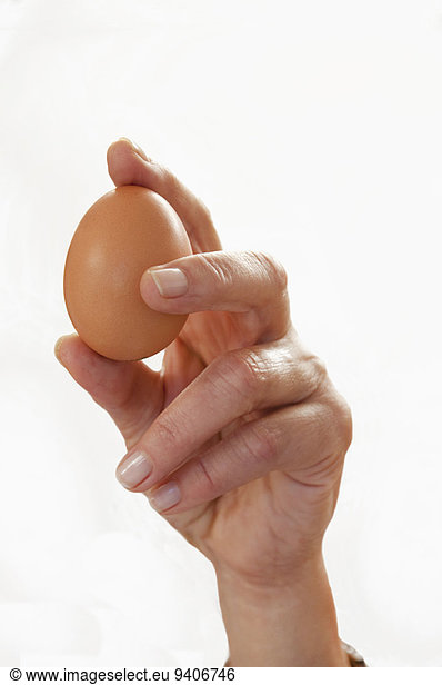 Human hand holding egg against white background  close up