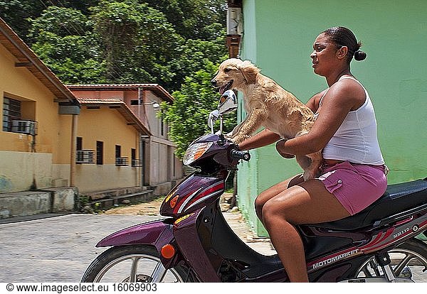 Hund und Frau auf einem Motorrad in der Hauptstraße des Dorfes Chuao im Bundesstaat Falcon in Venezuela - Henri-Pittier-Nationalpark  in Venezuela. Er ist von großem touristischem Interesse  da er zusammen mit Tucacas einer der Ausgangspunkte zu den Inseln des Nationalparks Morrocoy ist.