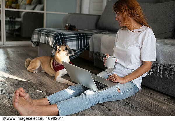 Hundebesitzer retuschiert Fotos am Laptop