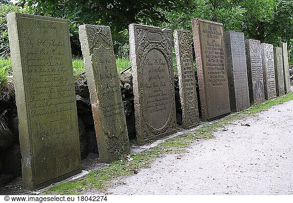 Hunderte Jahre alte Grabplatten auf dem Friedhof von Keitum  Sylt  nordfriesische Inseln  Nordfriesland  Schleswig-Holstein  Deutschland  Europa
