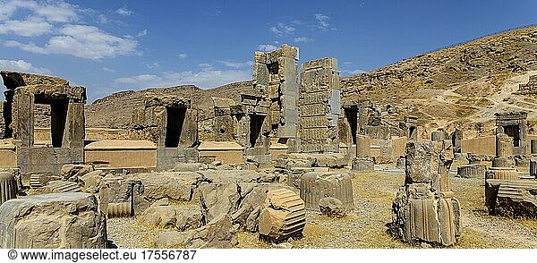 Hundertsäulensaal mit Reliefs in den Türlaibungen  Persepolis  Persepolis  Iran