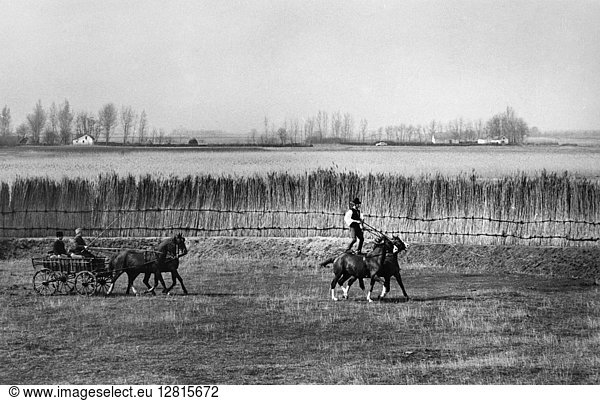 HUNGARY: BUGAC PUSZTA. A man riding a pair of horses followed by a horse-drawn carriage  on the plains at Bugac Puszta in Kiskunság National Park  central Hungary. Photographed c1970.