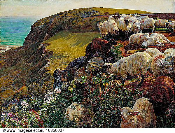 Hunt  William Holman.English painter  1827–1910.“Our English Coasts (Strayed Sheep) '  1852.Oil on canvas  43 × 58 cm.Ref. No.: N05665Presented by the Art Fund 1946.London  Tate Gallery.
