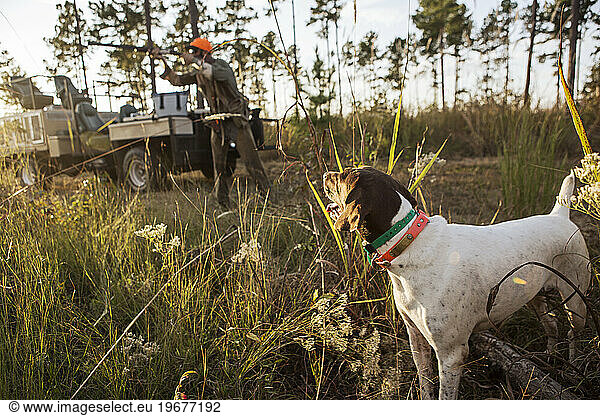 Hunter aiming with rifle and dog watching  Bear Creek Reserve  Georgia  USA