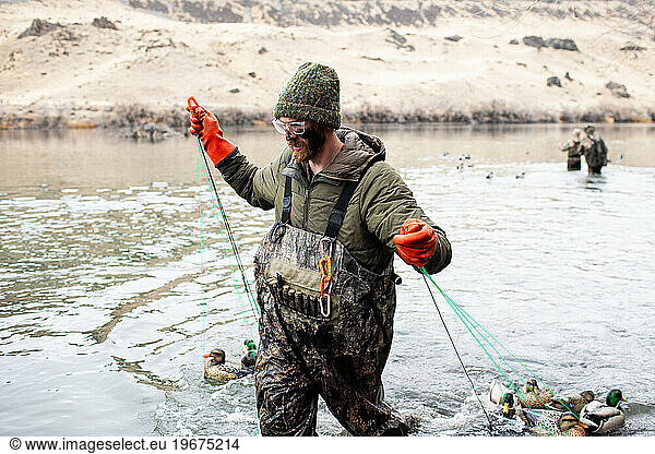 hunter in waders carefully retrieves duck decoys from river