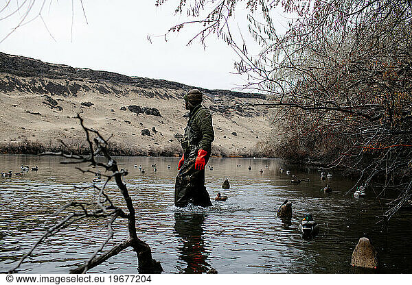 hunter searches in river for a missing duck decoy