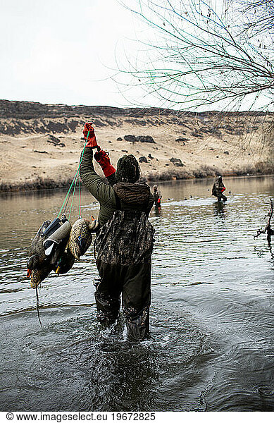 Hunters retrieves duck decoys from the Upper Mississippi River.