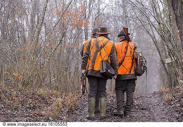 Hunting big game  the hunters go to the post  Rhine forest  Alsace  France