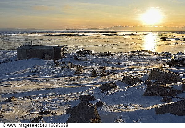 Hunting camp in Unarteq  Greenland  February 2016