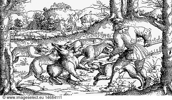 hunting  wild boar hunting  etching by Augustin Hirschvogel  1545