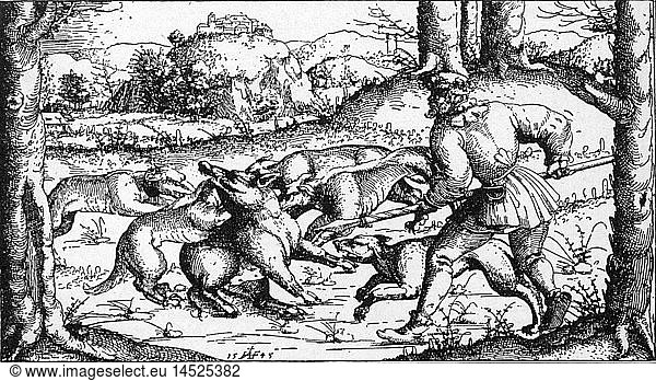hunting  wild boars  boar hunting  pack and hunter facing a boar  etching by Augustin Hirschvogel (1503 - 1553)  1545
