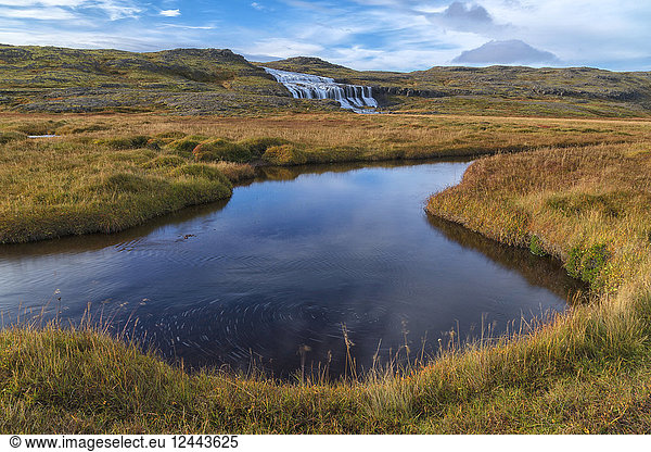 Husarfoss waterfall in a remote landscape  Djupavik  West Fjords  Iceland