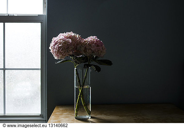 Hydrangeas in drinking glass at table against wall