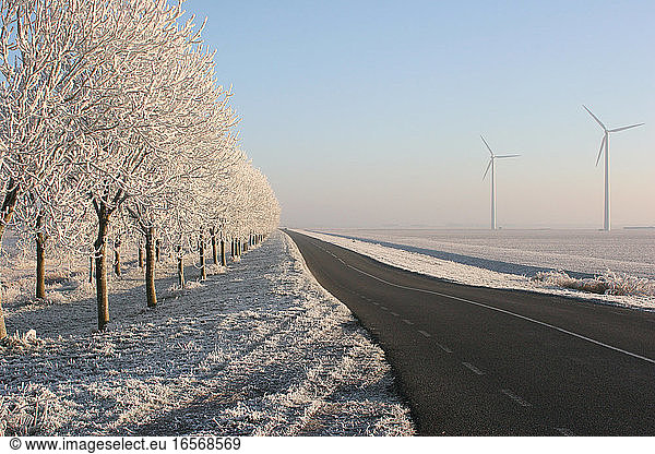 Ibisweg Zeewolde Netherlands covered in hoar-frost; Ibisweg Zeewolde Nederland gehuld in rijp