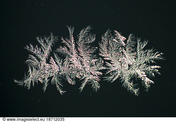 Ice crystals on a car windscreen in cold temperatures  during the January 2010 big freeze in the UK.