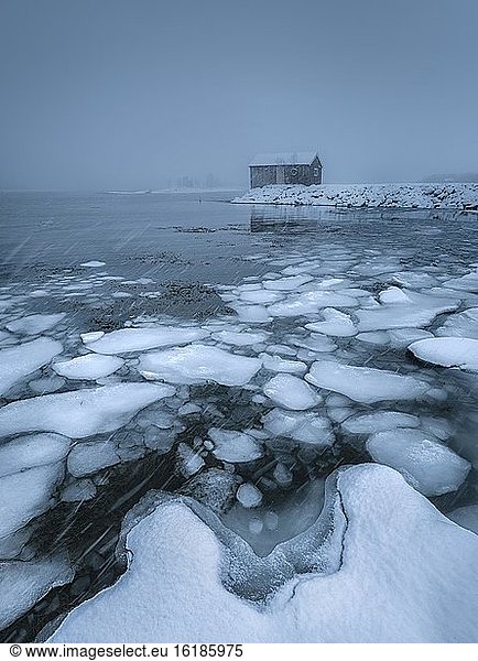 Ice floes at the frozen fjord with thick snowfall and dark cloud atmosphere  wooden cabin  Stokmarknes  Nordland  Norway  Europe
