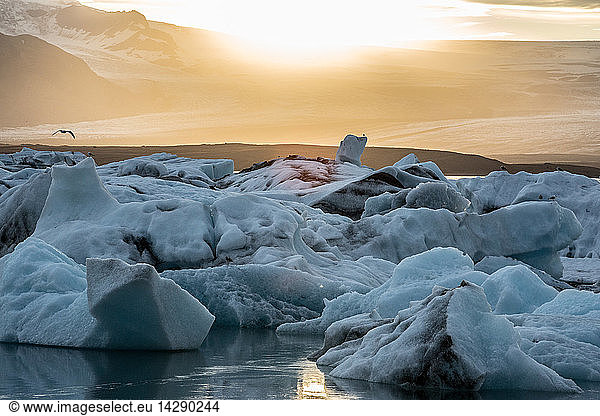 Icebergs and ice chunk at sunset  South Iceland  Iceland  Polar Regions