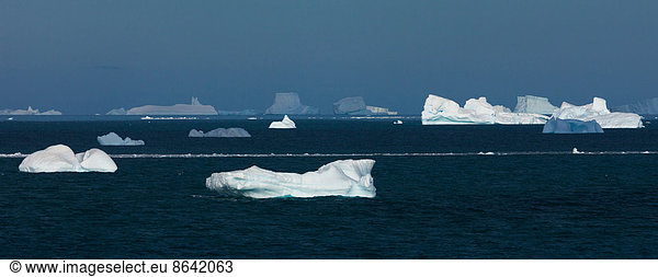 Icebergs  Antarctica
