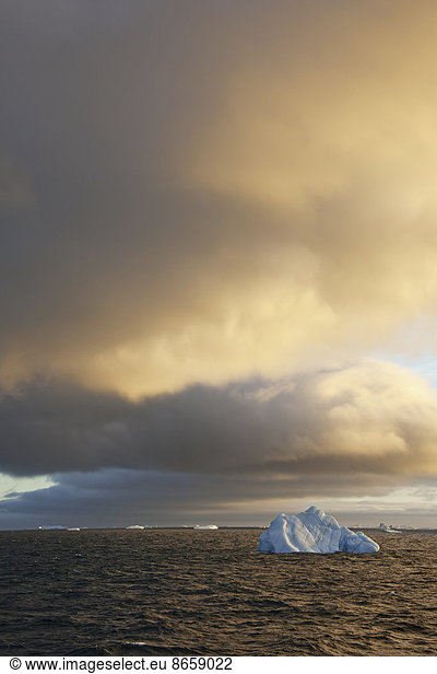 Icebergs at sunrise in the Weddell Sea  Antarctica.