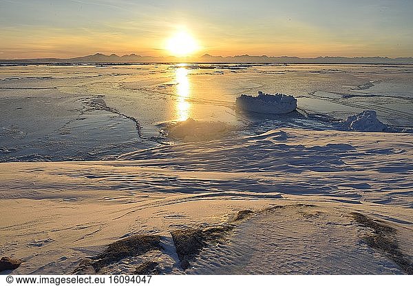 Icebergsn new ice in the Scoresbysund,  Greenland,  February 2016 at sunset around 2 p.m