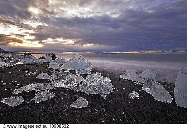 Iceland  Jokulsarlon  icebergs at twilight