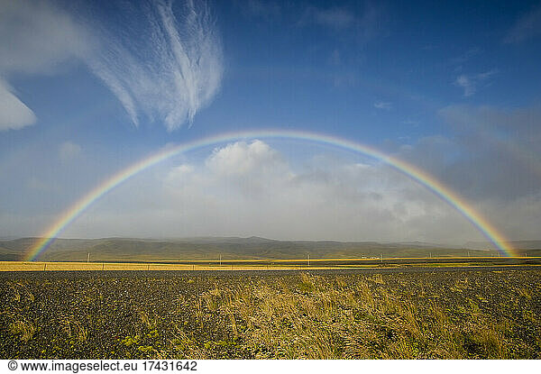 Iceland  Rainbow above highway in landscape