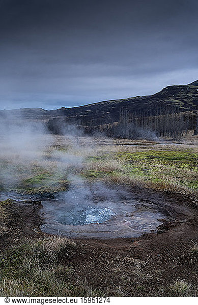 Iceland  Steaming geyser in spring