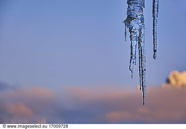 Icicles against sky during sunset