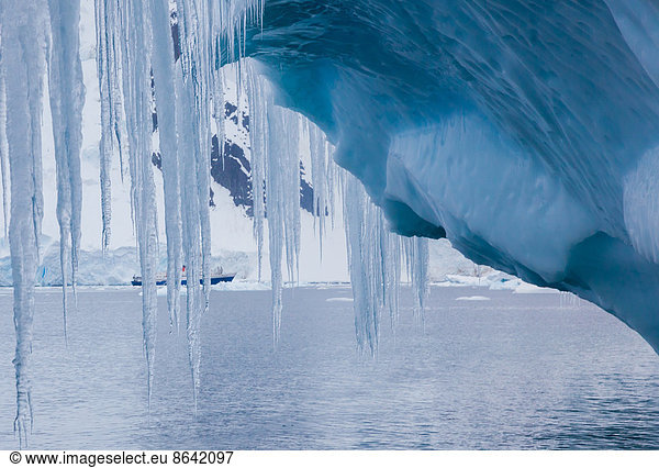 Icicles hanging from an iceberg  Antarctica