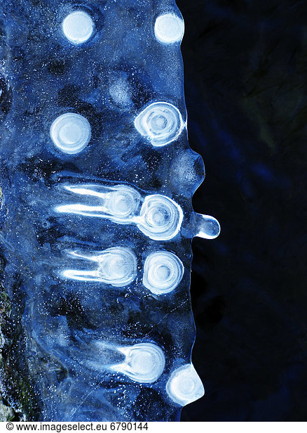 Icy Besucher  Massachusetts  Seekonk  Caratunk Wildlife Refuge  Nahaufnahme einzigartige Muster im Eis.
