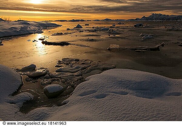 Icy Coast  Valberg  Lofoten  Nordland  Norway  Europe
