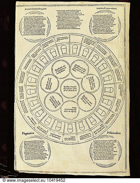 Identification chart for the analysis of urine by Johannes de Ketham  1491