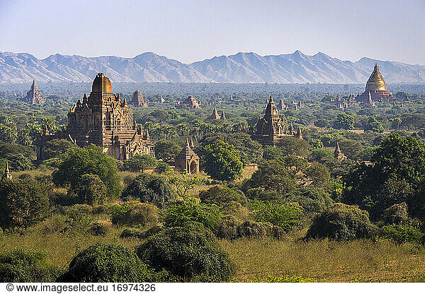 Idyllic view of ancient temples of Bagan  Bagan  Mandalay Distri