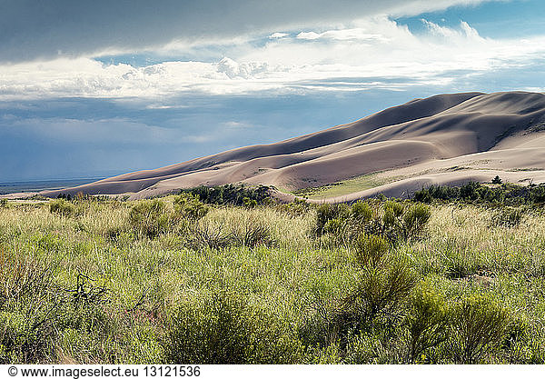 Idyllic view of desert against cloudy sky at Great Sand Dunes National Park with plants on field in foreground