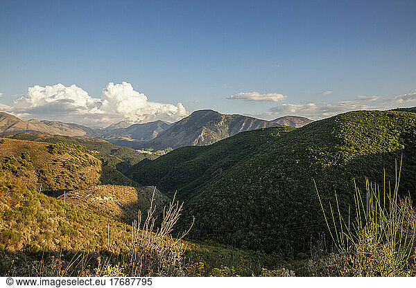 Idyllic view of green trees on Mali I Gjere mountain  Albanien