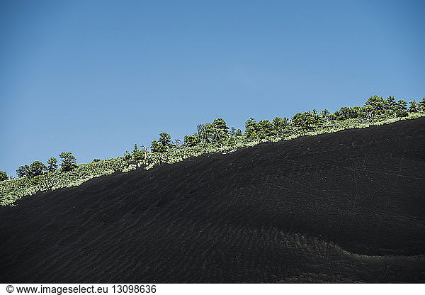 Idyllic view of trees on mountains against clear sky at Sunset Crater Volcano National Monument