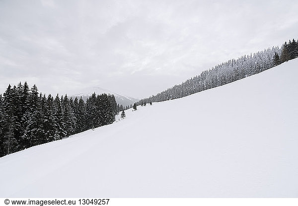 Idyllic view of trees on snowcapped mountain