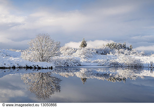 Idyllischer Anblick schneebedeckter getrockneter Pflanzen am See vor bewölktem Himmel
