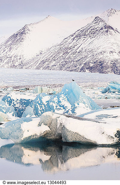Idyllischer Anblick von Eisbergen im See vor schneebedeckten Bergen im Winter